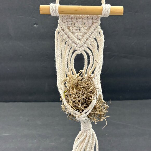 Handmade Macrame Air Plant Holder White Wooden Dowel‎ Grass 14”H Boho Hippie - Picture 3 of 9